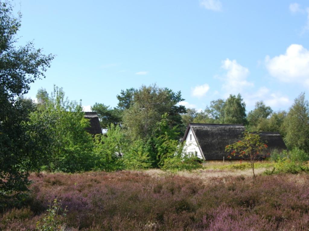 Doppelhaushaelfte In Vitte Auf Hiddensee Exterior foto