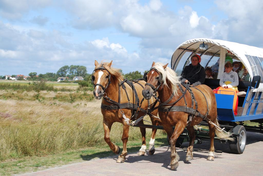 Doppelhaushaelfte In Vitte Auf Hiddensee Exterior foto